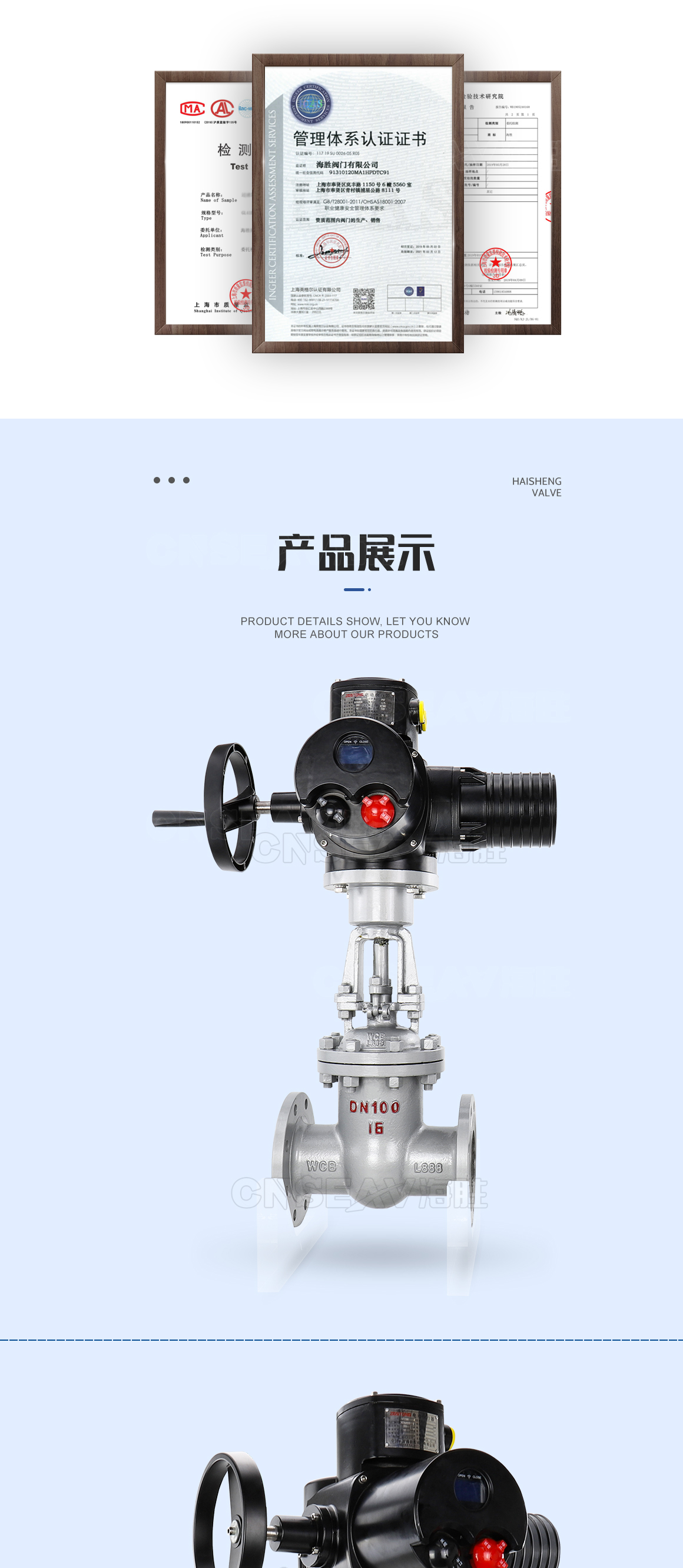 电动不锈钢闸阀Z941H图片