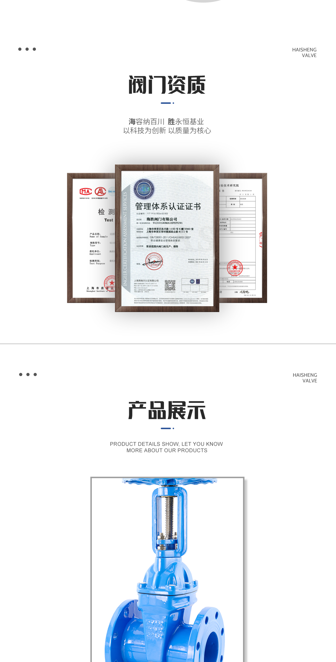 明杆软密封闸阀Z41X资质