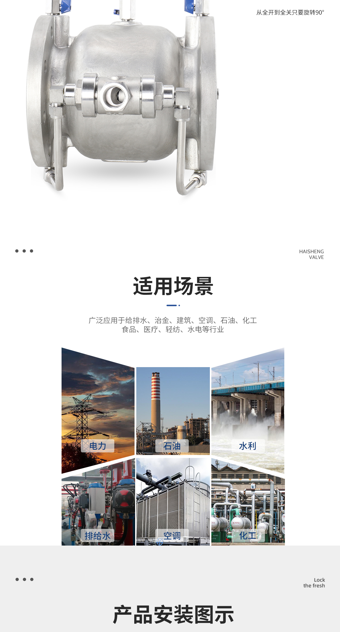 不锈钢低阻力倒流防止器LHS743X图片