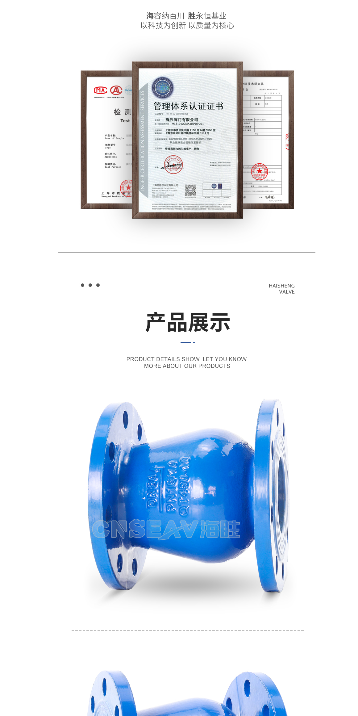 DRVZ静音止回阀图片