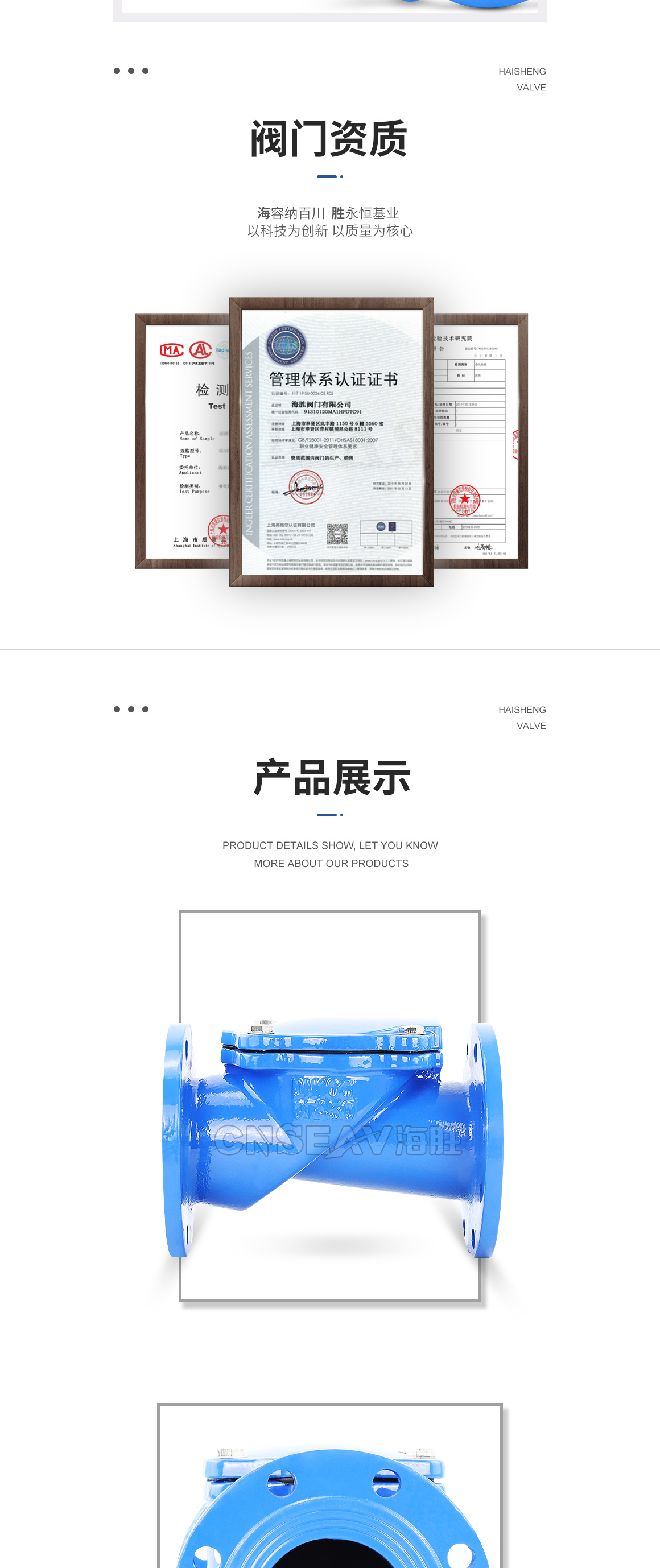 橡胶瓣止回阀H44X图片